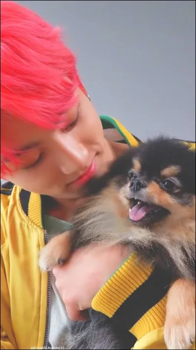 Quel BTS était la recherche Google la plus recherchée entre 2013 et 2017 ?