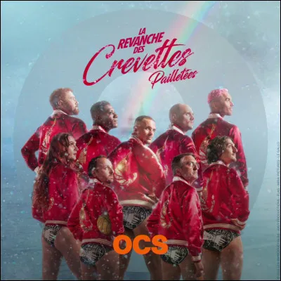 "Les Crevettes pailletées" est un long-métrage interprété par Nicolas Gob.