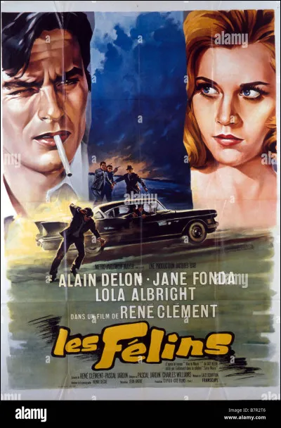 "Les Félins" est le titre d'un film interprété par Jean-Paul Belmondo.
