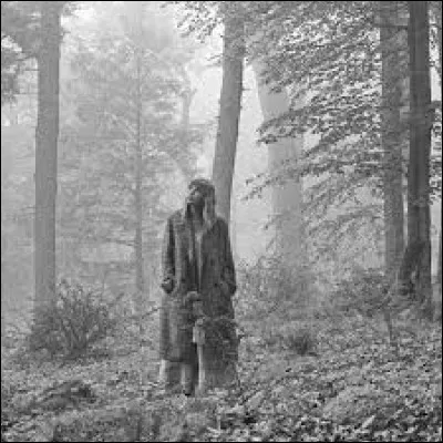 Quel album est-ce ? (Photo)