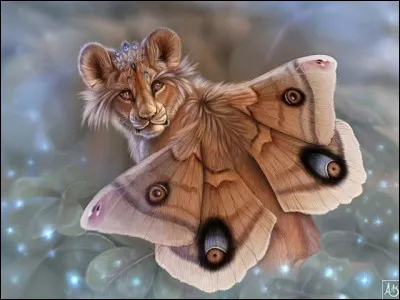 Vrai ou faux ? Les papi-lions femelles ont une crinière ?