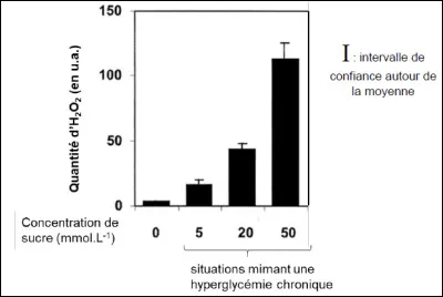 Document 3 : effet de la concentration de sucre sur les cellules β de pancréas 
Le stress oxydatif, est caractérisé par la production de composés oxygénés comme le H2O2 qui ont des effets sur le métabolisme des cellules. Des cellules β de pancréas de hamster ont été placées dans des milieux contenant différentes concentrations de sucre et la quantité dH2O2 a été mesurée et quantifiée.