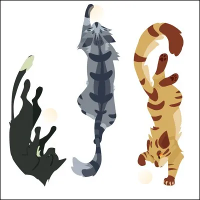 "Ne fais pas comme si le passé n'avait jamais existé, Pelage de Lion. C'est comme mon ombre. Il me suivra toujours". Cette chatte semble avoir des regrets qui est-ce ?