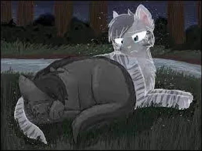 Qui a dit "Quand la mort survient, parfois personne n'y peut rien" ?