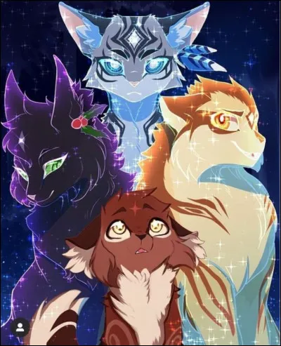 Aimes-tu le Clan des &Eacute;toiles ?