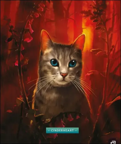 As-tu de l�autorit&eacute; ?