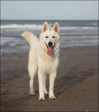 Quel est ton caractère ? Partie 2