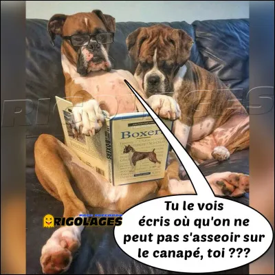 Quel ton caractère, version ''négatif'' ?