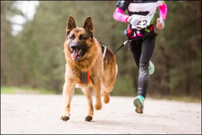 Quel sport veux-tu qu'il exerce ?