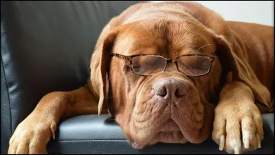 Quelle image préfères-tu ?