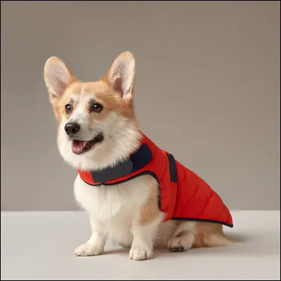 Et enfin, quel est son espérance de vie ?