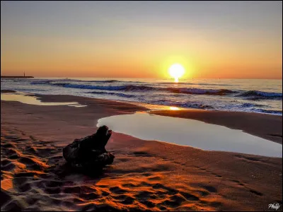 Quel acteur peut-on voir dans le film "Le Jour le plus long" ?