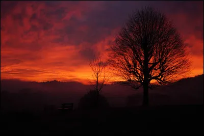 Qui est l'auteur du roman "Mes nuits sont plus belles que vos jours" ?