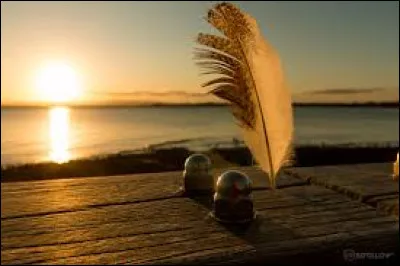 À qui doit-on la chanson "Un jour, je marierai un ange" ?