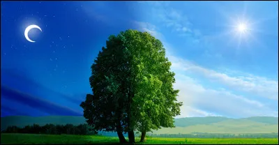 À quel groupe doit-on le titre "Le Jour s'est levé" ?