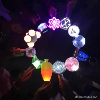 À quoi le K-pop lightstick de BTS ressemble-t-il ?
