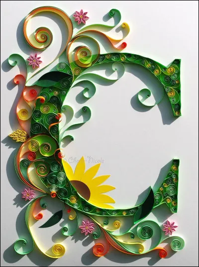 Cedi : de quel pays le Cedi est-il la monnaie officielle ?