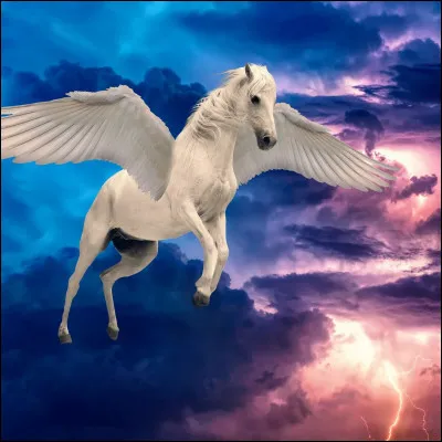 Ton amie va en balade et en rentrant, elle te dit avoir vu un cheval tout blanc qui avait l'air totalement magique, la crois-tu ?