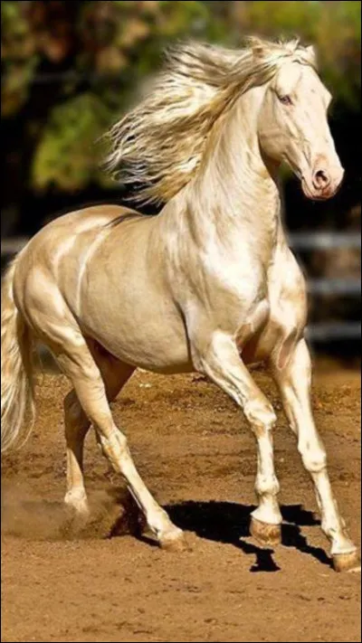 Es-tu solitaire ou en groupe ?