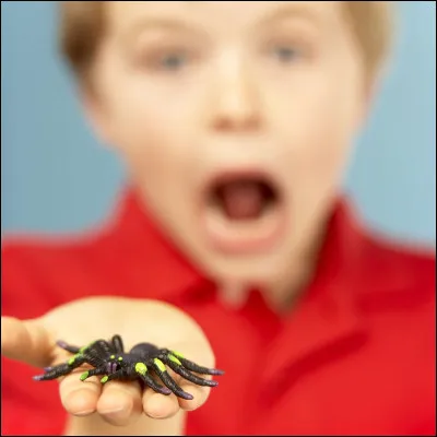 Situation 5 : Il(elle) te demande si tu veux en prendre une dans tes mains. Il(elle) t'affirme que ses araignées sont inoffensives. Quelle est ta réponse ?