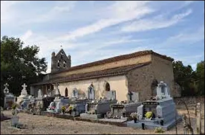 Village Tarnais, sur la rive droite de l'Agout, Saint-Gauzens se situe dans l'ex région ...