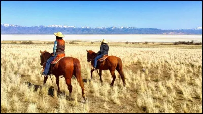 Pourquoi ces races de chevaux sont-elles reconnues ?

"Le selle français, l'holsteiner, le trakehner, l'oldenbourg, le SBS, le BWP, l'irish sport horse et le demi-sang suédois.