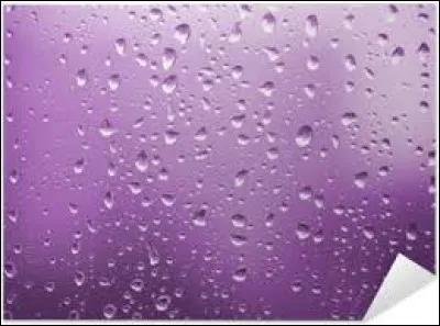 "Purple Rain" est une chanson de Prince.