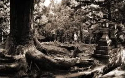 Quel dramaturge est l'auteur de la pièce de théâtre "Bérénice" ?