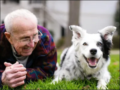 Chaser a appris plus de 4000 mots.