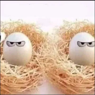 Comment sont ces ufs ?