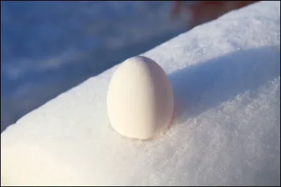 Que dire de ce bel uf ?