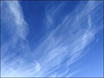 Quelle est la profession de son créateur ?