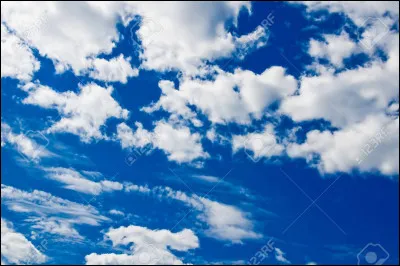 Parmi ces quatre images, laquelle représente un nuage de mots ?