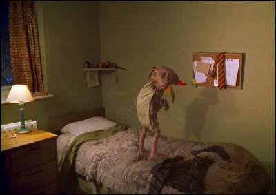 Quel elfe de maison fait son apparition dans "Harry Potter et la Chambre des secrets" ?