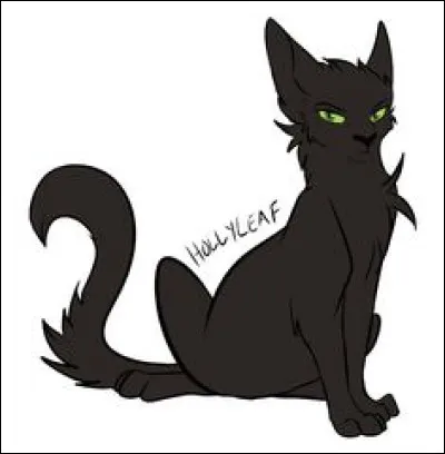 Trois lunes ont passé depuis que tu es guerrier. Lors d'une assemblée, le chef te confie une apprentie, Nuage de Mésange. Lors d'un entrainement, tu découvres qu'elle s'entraine dans la Forêt Sombre. Que lui dis-tu ?