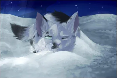 Bien des saisons plus tard, tu es devenu chef sous le nom d’Étoile de Tige et tu dois choisir ton lieutenant mais tu hésites, qui choisis-tu au final ?