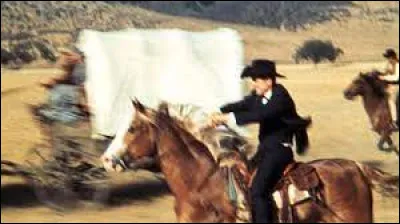 Maria Schell a joué dans :