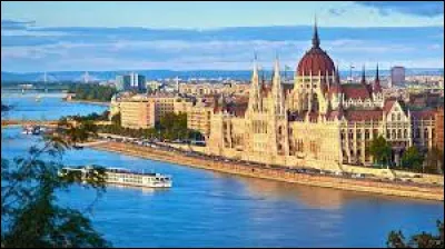 À qui doit-on le "Danube Bleu" ?