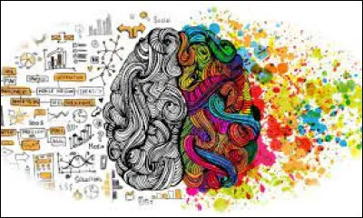 La ville de Rio de Janeiro est-elle la capitale du Brésil ?