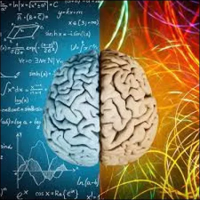 La Grande Muraille de Chine mesure-t-elle plus de 10 000 kilomètres de long ?