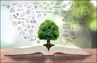 La banquise est-elle un océan gelé situé autour du pôle Nord ?