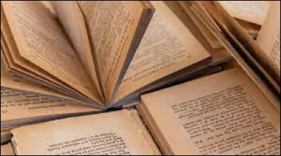 Le panda géant est-il originaire d'Afrique ?