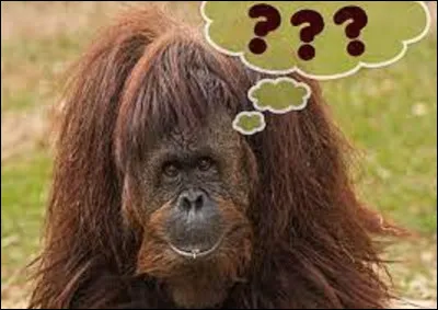 De quel animal la Froment du Léon est-elle une race ?