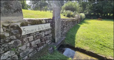 Dans quel département la Saône prend-elle sa source ?