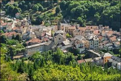 Cette commune de l'Aveyron, située dans la vallée de la Dourbie, en bordure des Cévennes, c'est Saint ... du Bruel