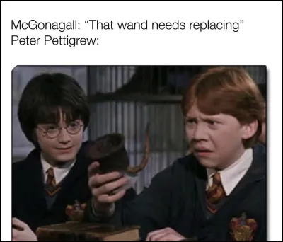 Métamorphose : Comment appelle-t-on un sorcier capable de se changer en un animal ?