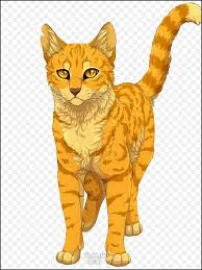 Quel est son prénom ?