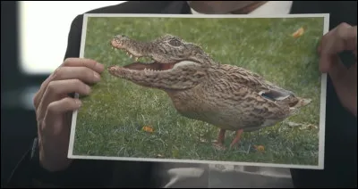 Et la frontière entre aliment et médicament semble de plus en plus ténue...
De nouveaux termes ont ainsi déboulé pour désigner ces ''aliments fonctionnels'' et autres compléments alimentaires...