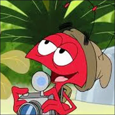 Lequel de ces fourmiliers est fondamentalement terrestre alors que les autres sont arboricoles ou semi-arboricoles ?