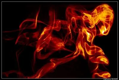 Les salamandres peuvent-elles rgnrer leurs membres amputs ?